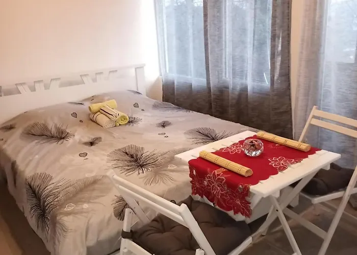 公寓 Stasha Donja Mala